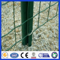 DM Low Carbon Steel Euro Style Wire Mesh Fechten, 50 * 100 Green Pvc beschichtet Welle geschweißt Mesh Zaun